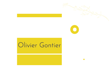 OLIVIER GONTIER